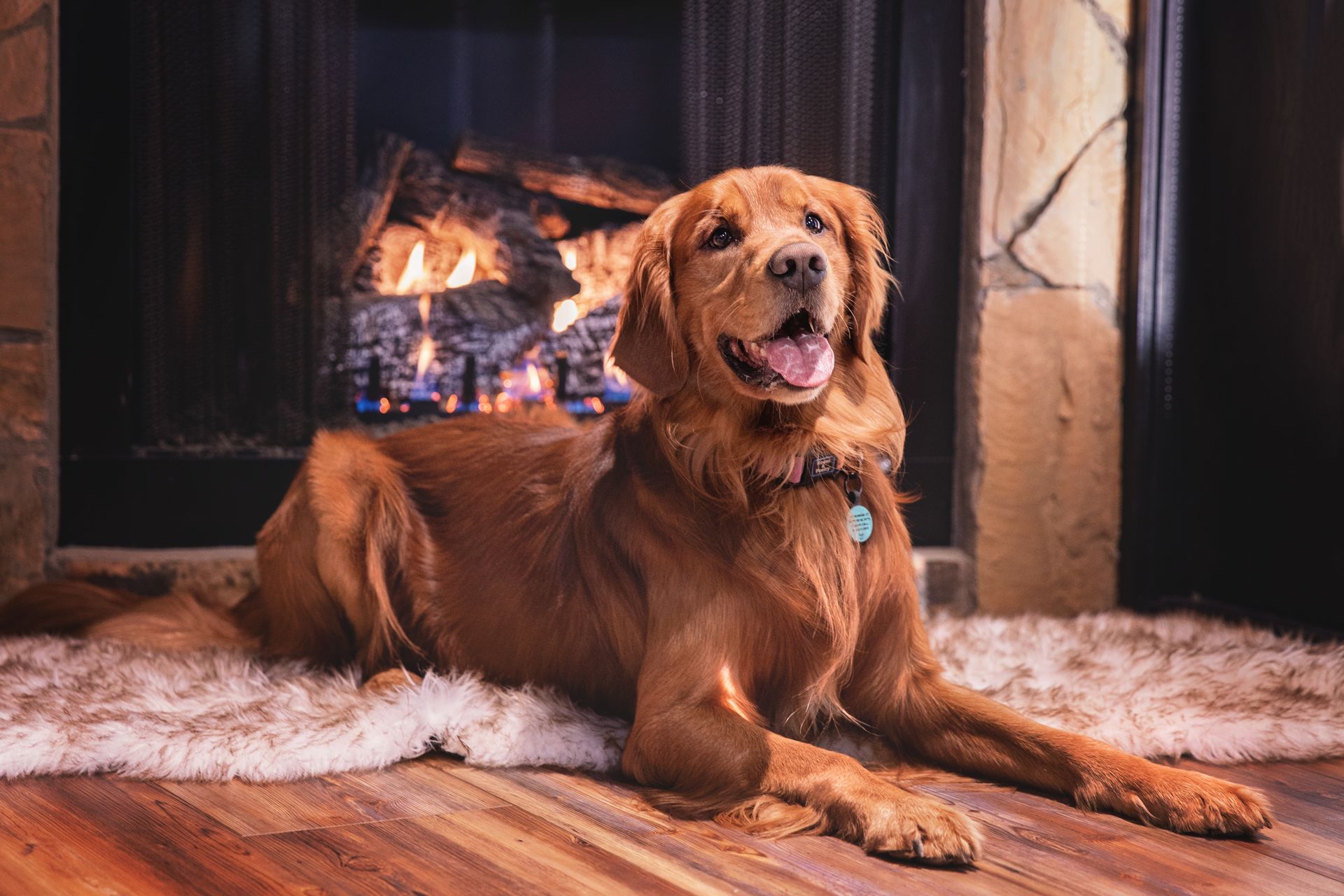A dog is laying on a rug in front of a fireplace.