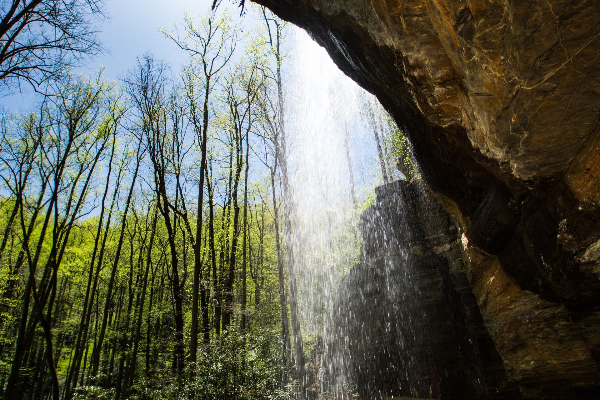 A waterfall in the middle of a forest with trees in the background