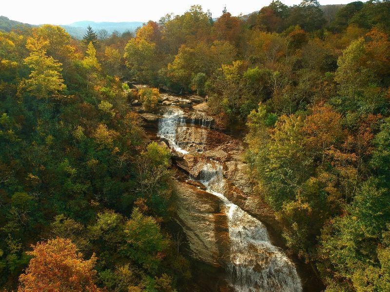 An aerial view of a waterfall in the middle of a forest.