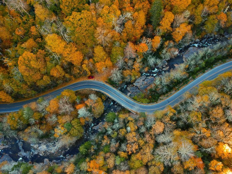 An aerial view of a road going through a forest.