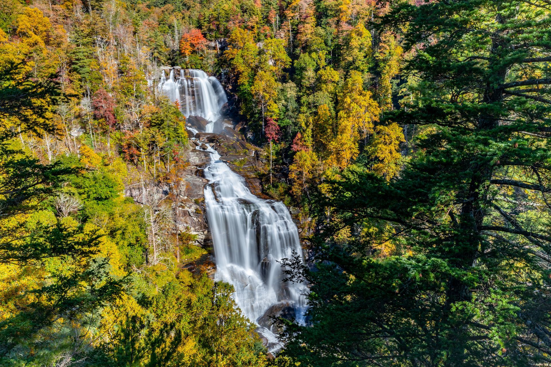 A waterfall in the middle of a forest surrounded by trees.