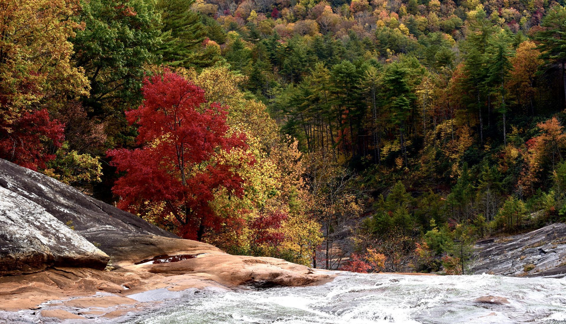 A river flowing through a forest with trees that are changing colors
