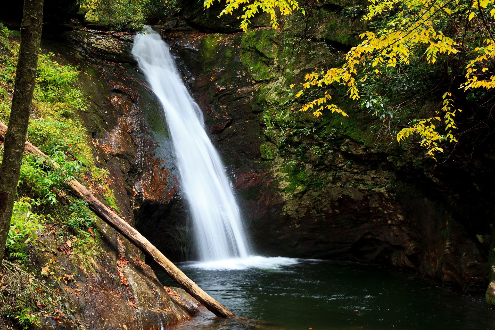 A small waterfall in the middle of a forest