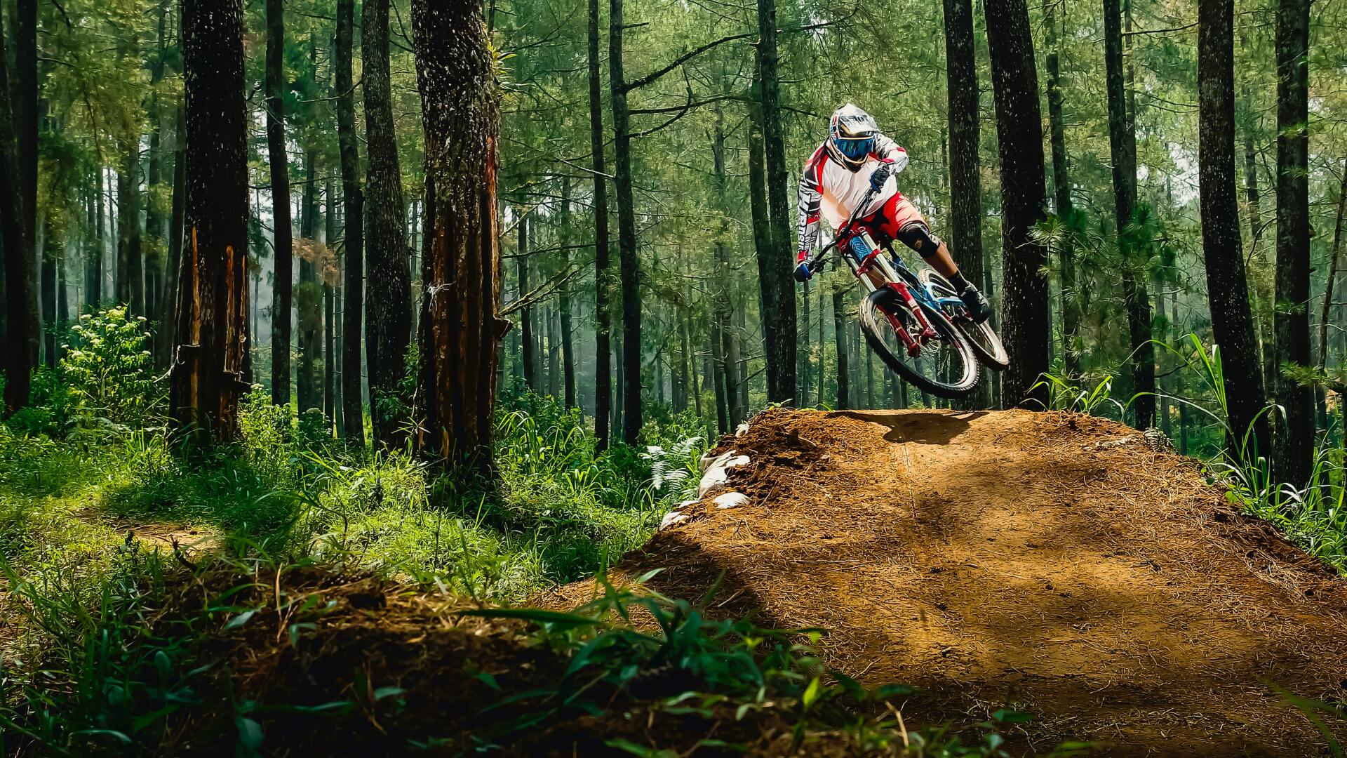 A person is riding a mountain bike on a trail in the woods.