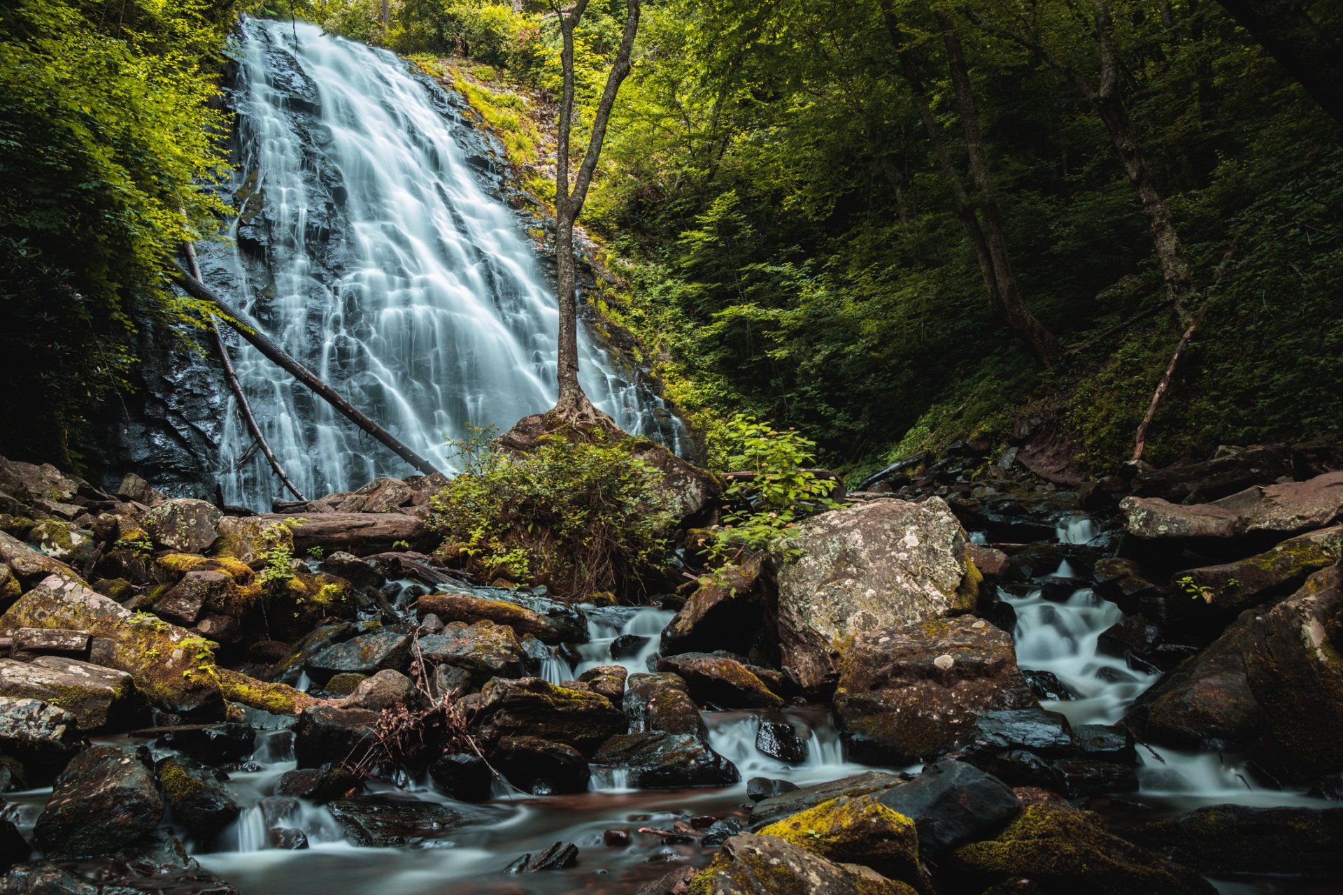a waterfall is surrounded by trees and rocks in the middle of a forest .