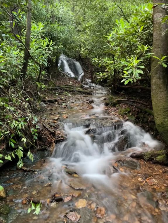 Forestsong Waterfall