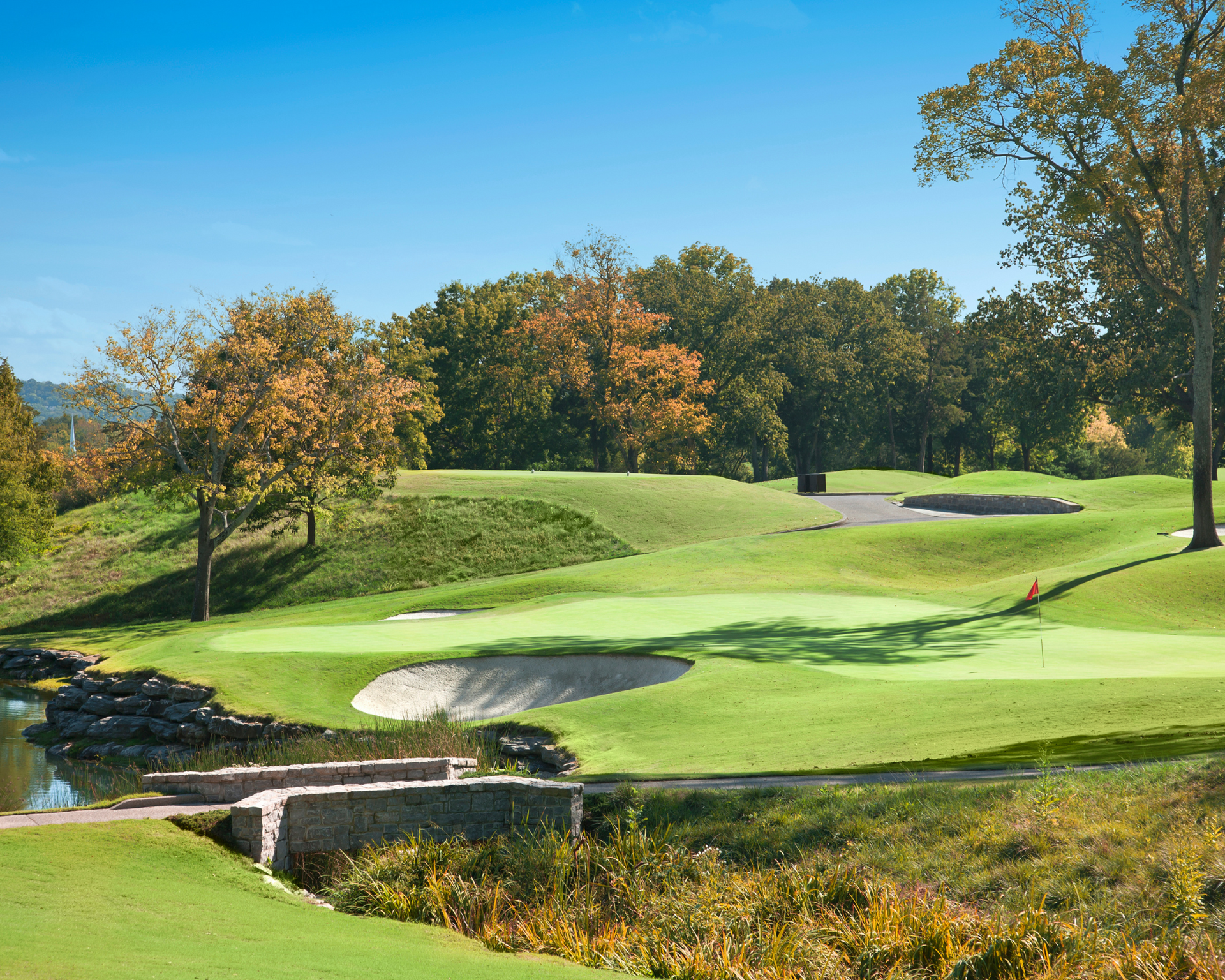 A lush green golf course with trees in the background