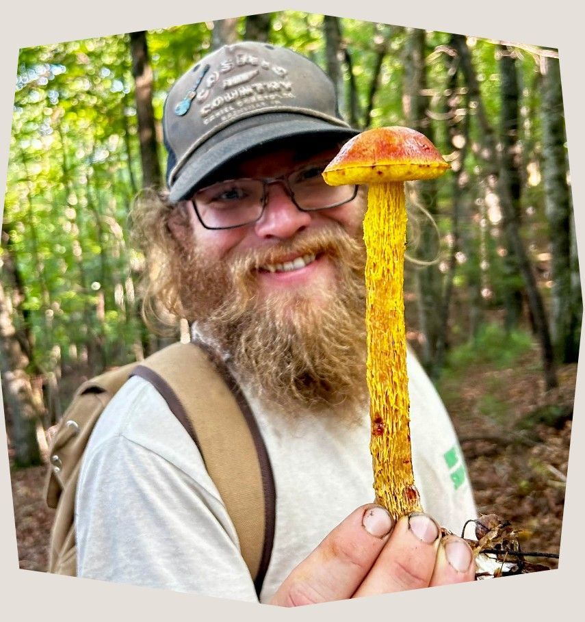 Man holding a yellow and red mushroom in a forest, smiling.