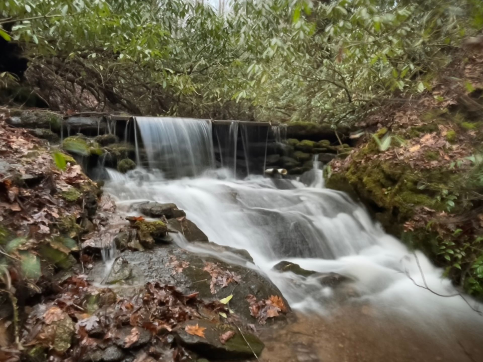 Small waterfall cascading over rocks in a wooded forest stream with autumn leaves.