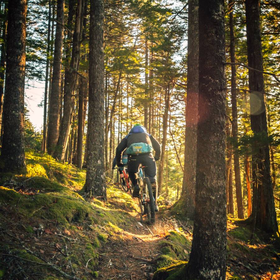 a person riding a bike down a trail in the woods