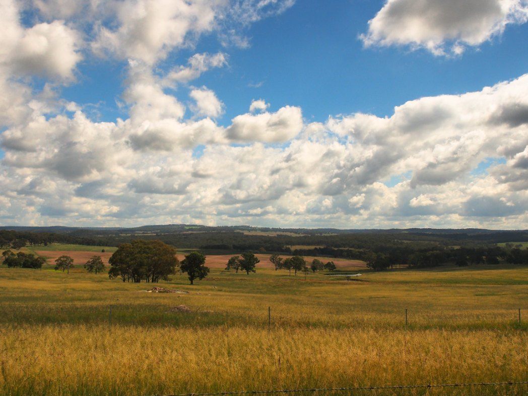 A Field of Tall Grass Under a Cloudy Blue Sky — Action Air N Elec in Palmwoods, QLD