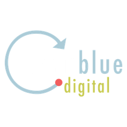 Turn It Blue Ads - Progressive Political Advertising Technology