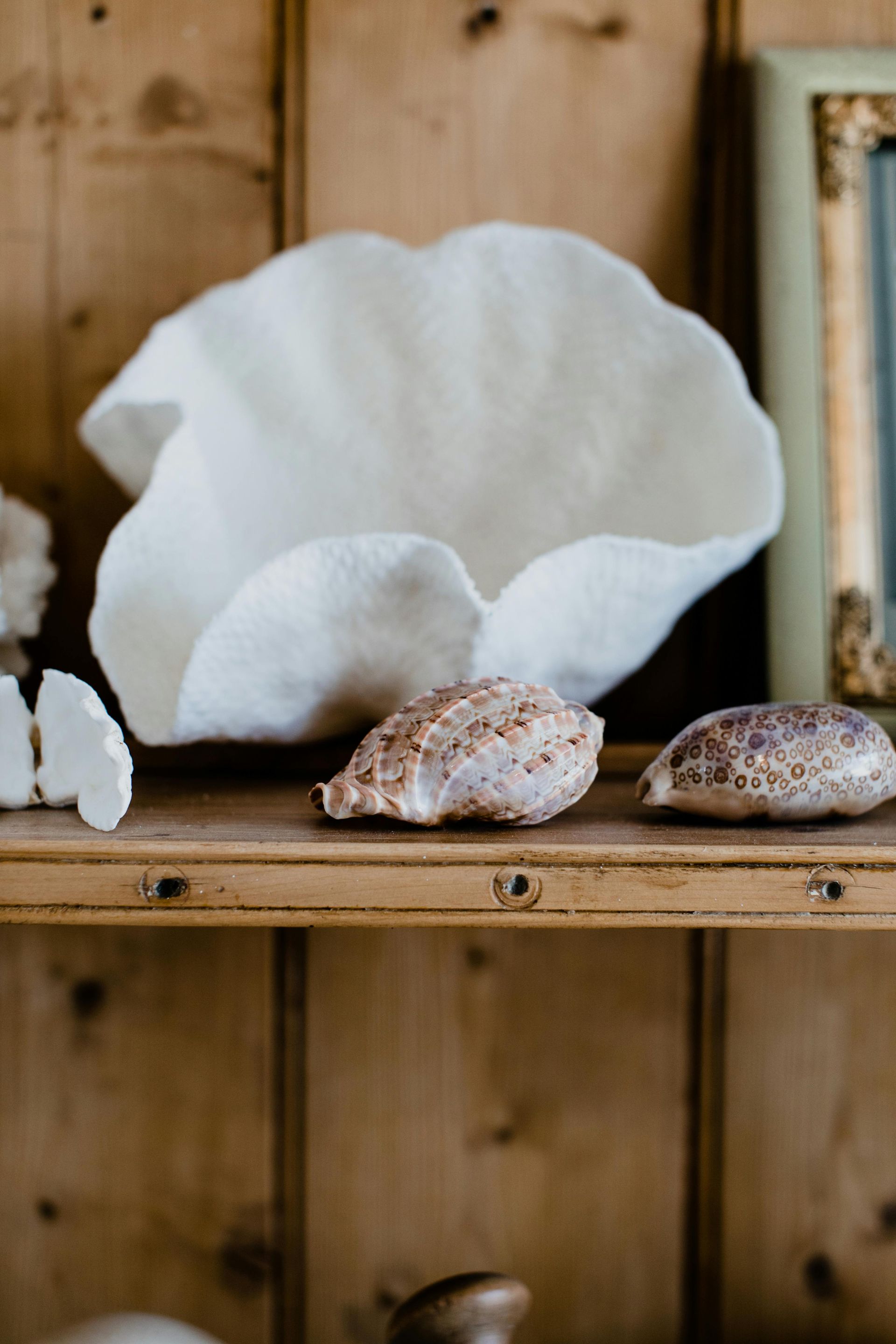 Coastal decor