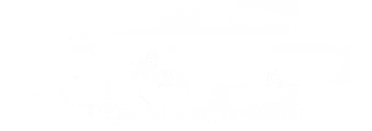 All American Paint Protection