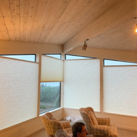Living room with angled, white pleated window shades, wood-paneled ceiling, track lighting, and two beige armchairs.