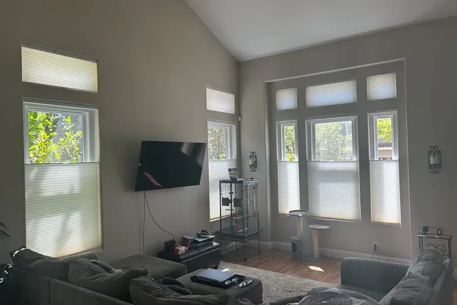 Bright living room with gray walls, wall-mounted TV, large windows, and a dark sofa.
