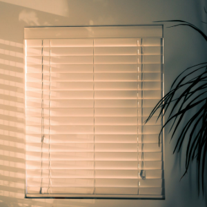 Sunlight streams through closed horizontal window blinds, casting striped shadows on the wall next to a houseplant.
