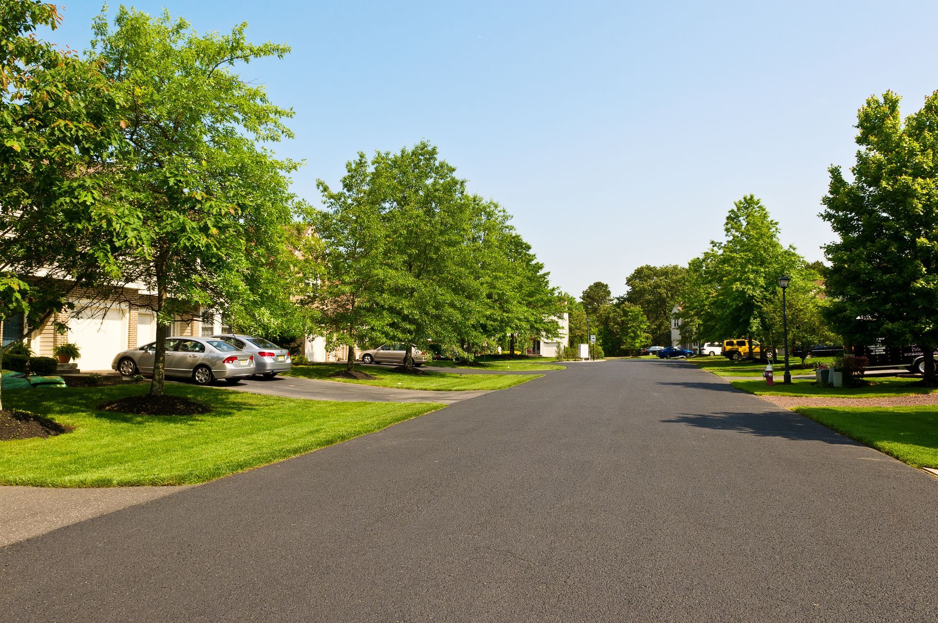 A paved suburban street lined with green trees and parked cars under a clear blue sky. A paved suburban street lined with green trees and parked cars under a clear blue sky.