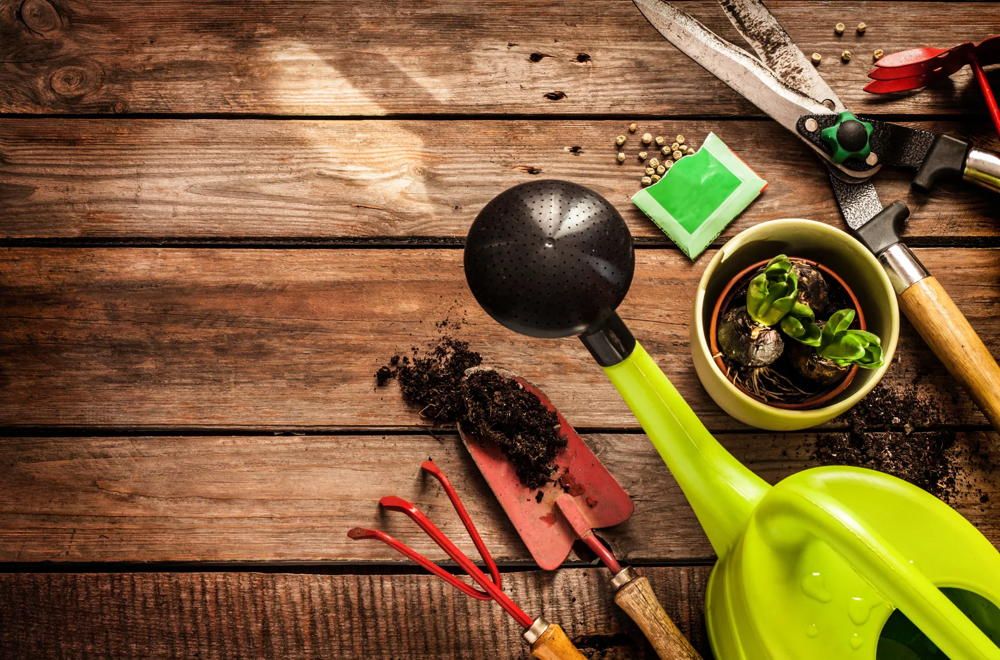 Gartenpflege - Werkzeuge für die Gartenarbeit