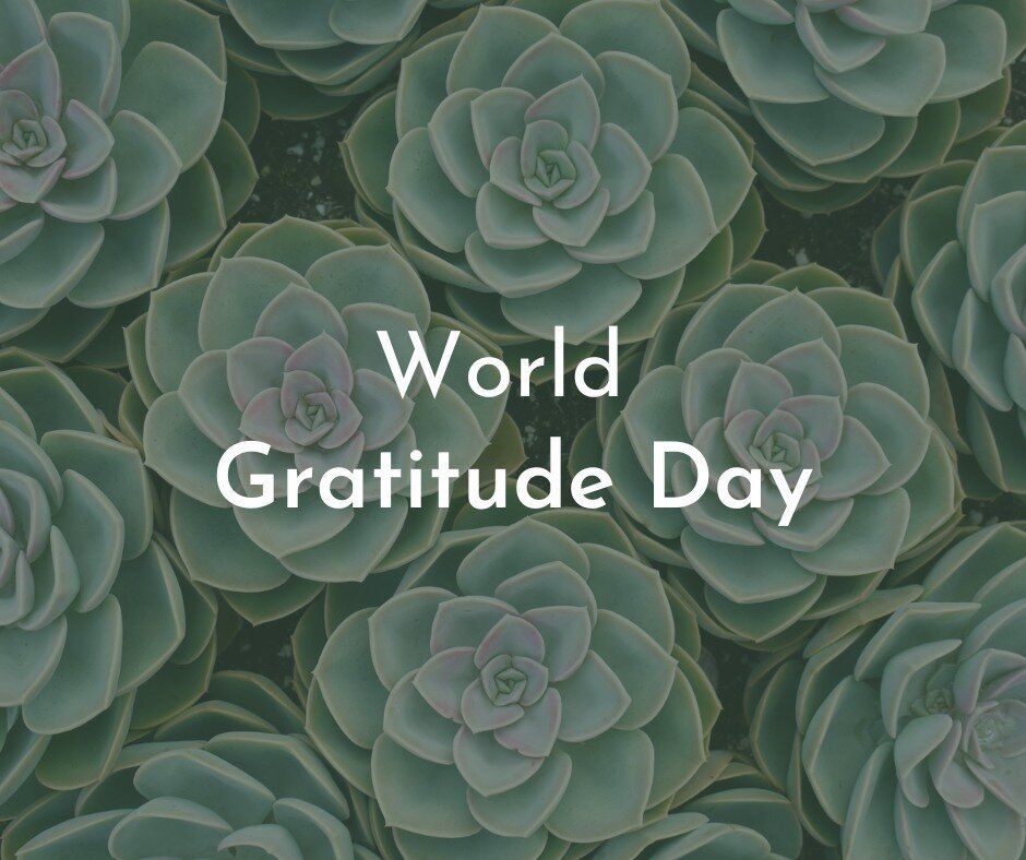 A bunch of succulents with the words world gratitude day written on them
