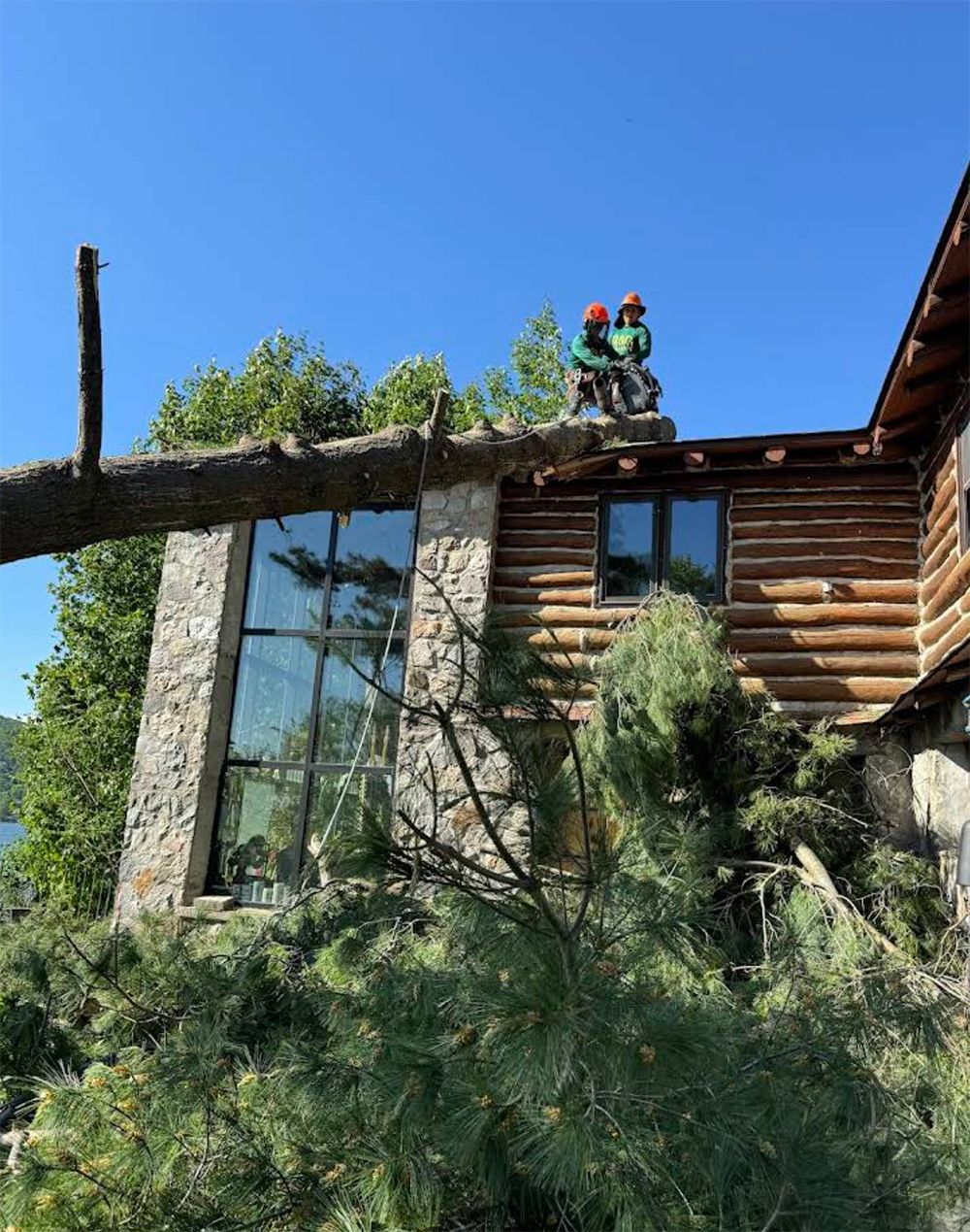 A man is standing on the roof of a log cabin cutting a tree.