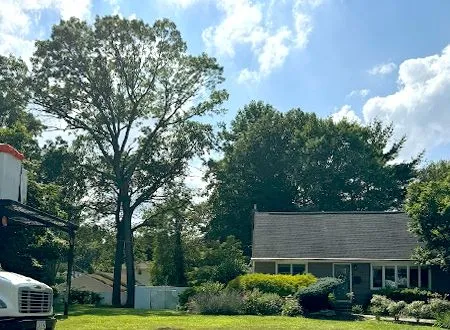 Suburban house with large trees, shrubs, and a partly cloudy blue sky behind a parked truck.