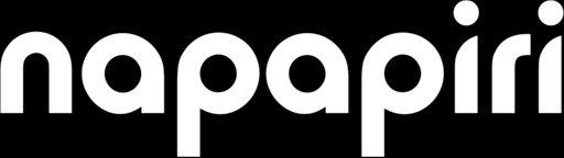 Logo of Napapiri company