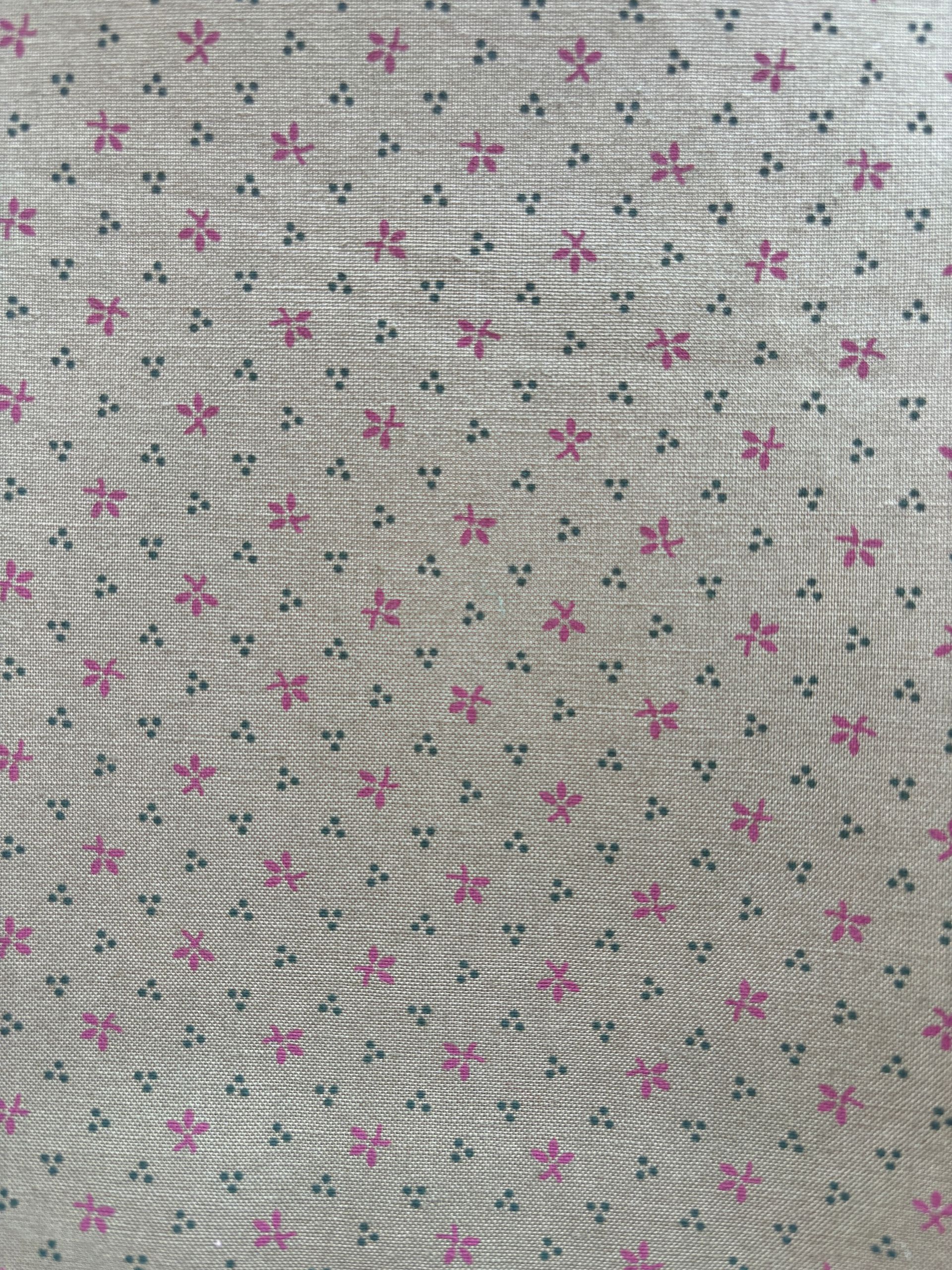 Wildrose