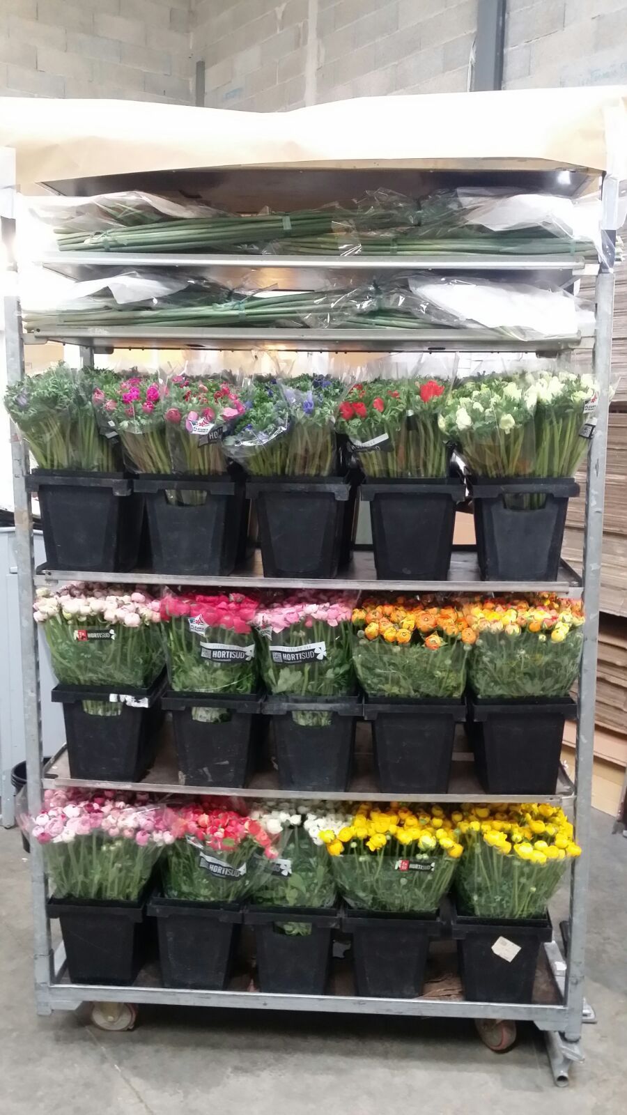 Un carrello pieno di fiori in vaso in un magazzino.
