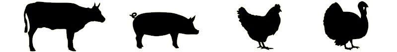 Picture of a cow, a pig, a chicken, and a turkey