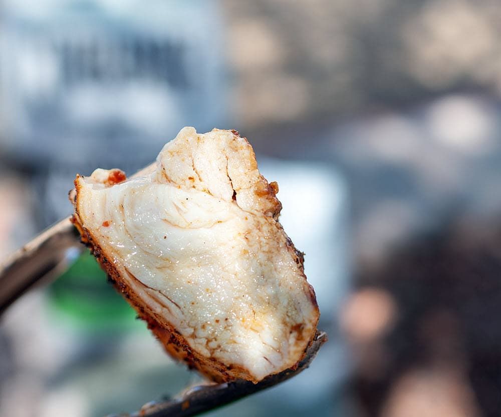 cross section of sliced moist chicken breast; chicken breast grill; smoke chicken breast