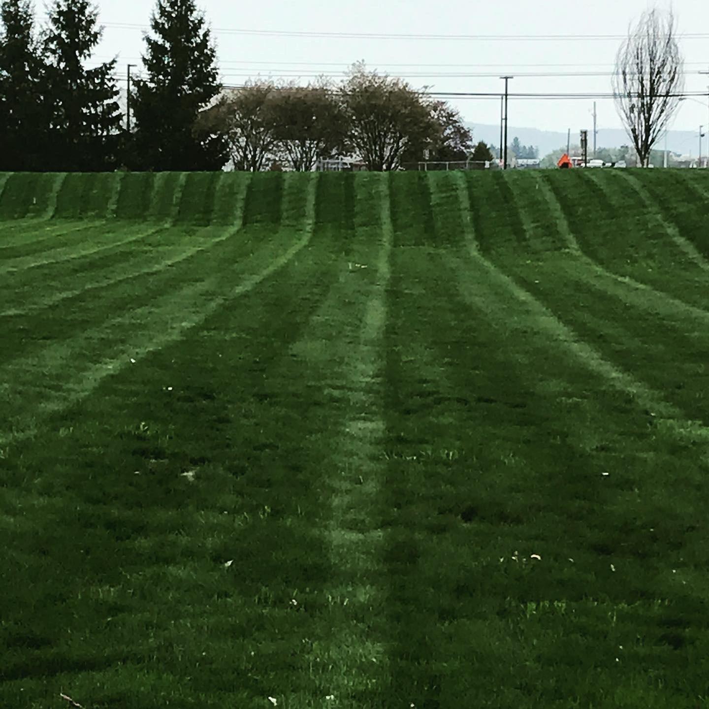 Dark Green Grass Lawn Care — Pine Valley, NY — Snow Chasers LLC