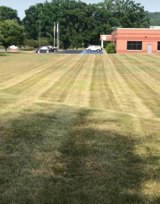 Light Green Grass With Trees And Houses — Pine Valley, NY — Snow Chasers LLC