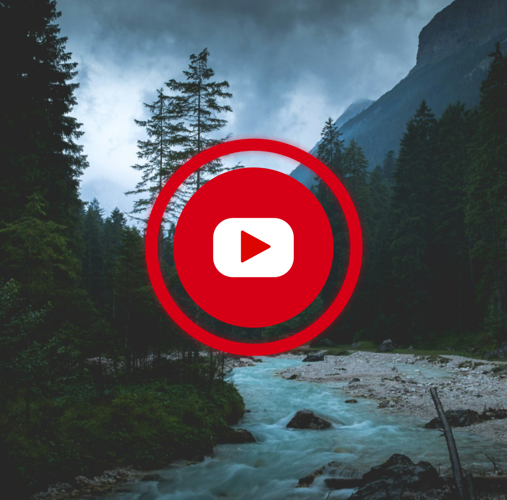 A red circle with a play button inside of it