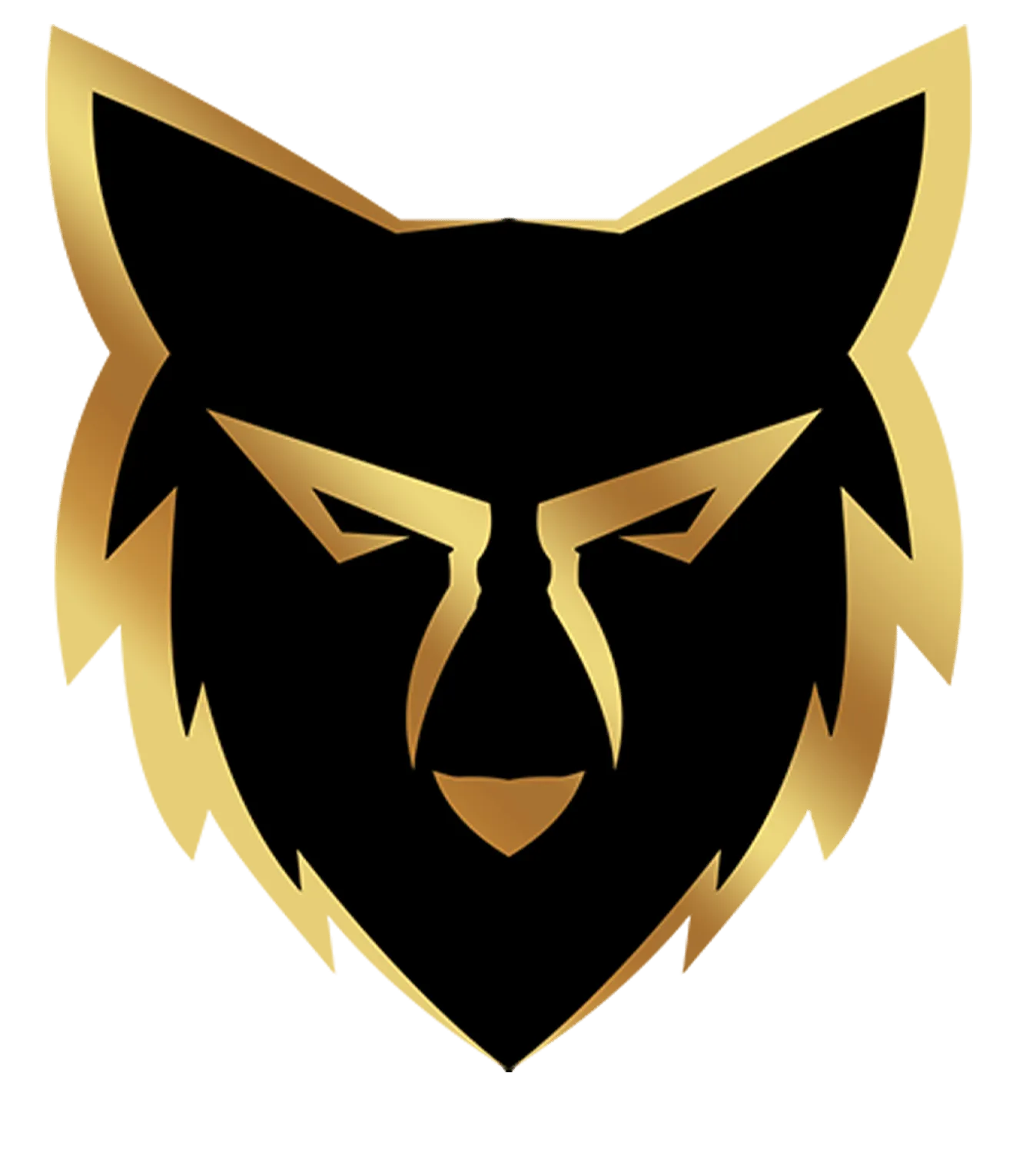 Light Logo