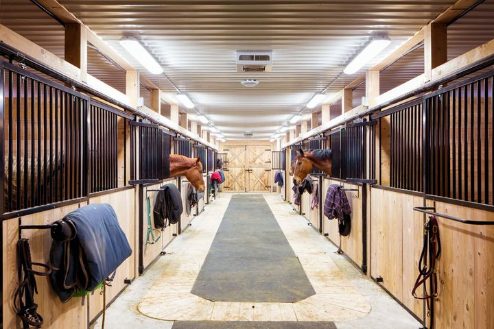 strutture per l'equitazione