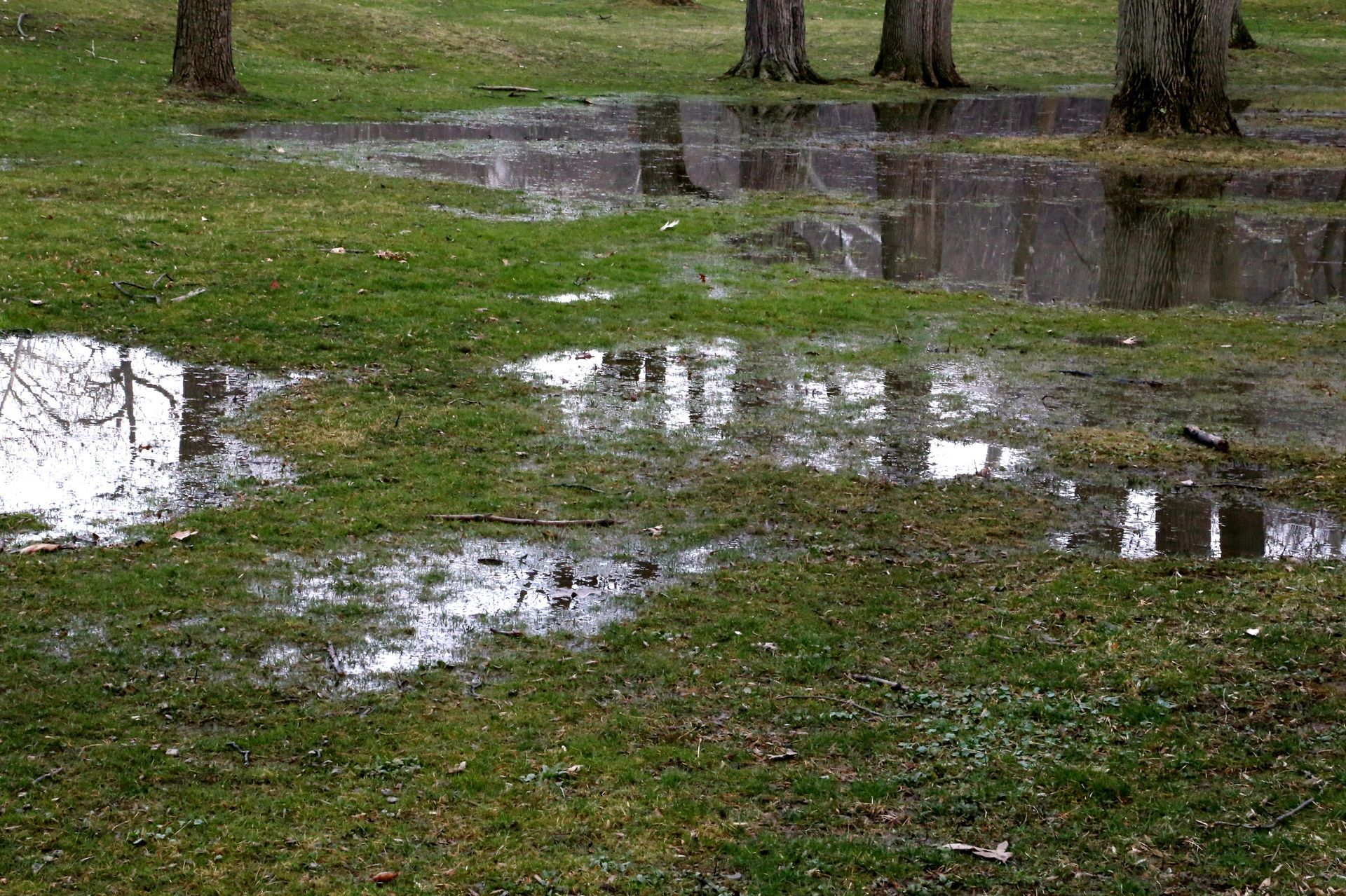 Backyard Drainage Solution — Loganville, GA — Georgia's Best Clearing & Grading
