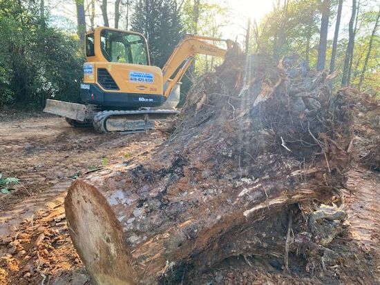 Land Clearing — Loganville, GA — Georgia's Best Clearing Land Clearing — Loganville, GA — Georgia's Best Clearing