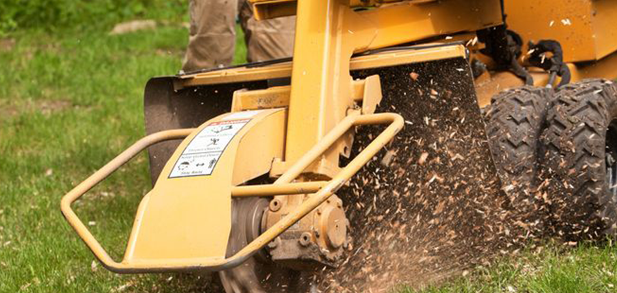 Stump grinding Georgia's Best Clearing & Grading — Loganville, GA — Georgia's Best Clearing & Grading