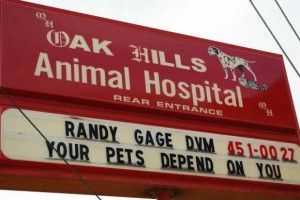 Animal Hospital Address — Cincinnati, OH — Oak Hills Animal Hospital Animal Hospital Address — Cincinnati, OH — Oak Hills Animal Hospital