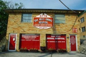Animal Hospital — Cincinnati, OH — Oak Hills Animal Hospital Animal Hospital — Cincinnati, OH — Oak Hills Animal Hospital
