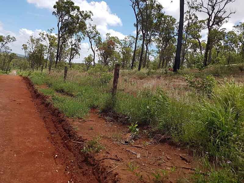 A Dirt Road Going Through A Lush Green Forest — Mike Barlow Earthmoving Pty Ltd in Rockhampton, QLD
