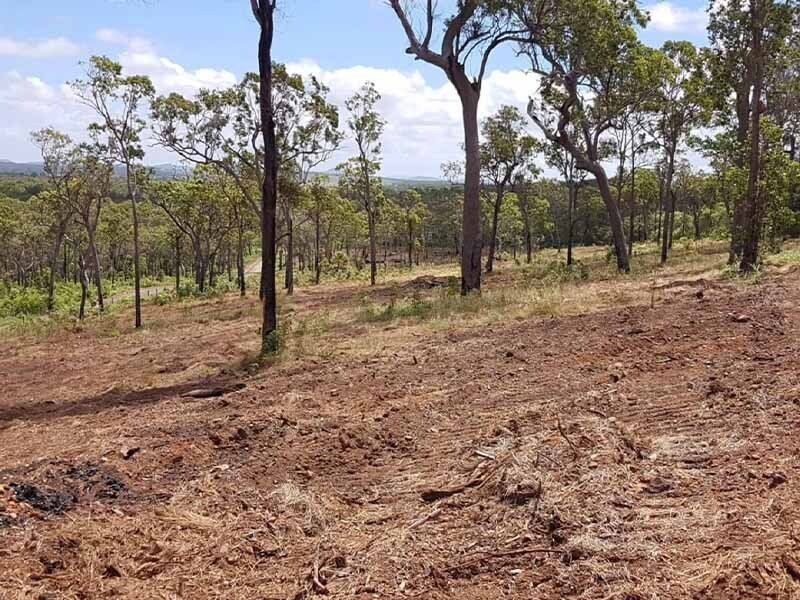 Scenic Forested Land with Trees — Mike Barlow Earthmoving Pty Ltd in Rockhampton, QLD
