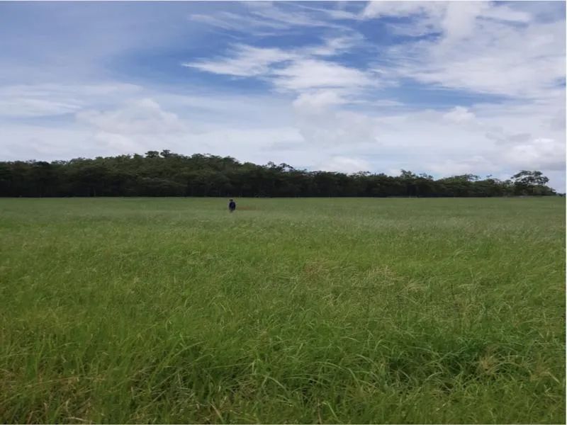 Pastoral Grazing Two Yellow Big Excavator In The Dirty Field — Mike Barlow Earthmoving Pty Ltd in Rockhampton, QLD