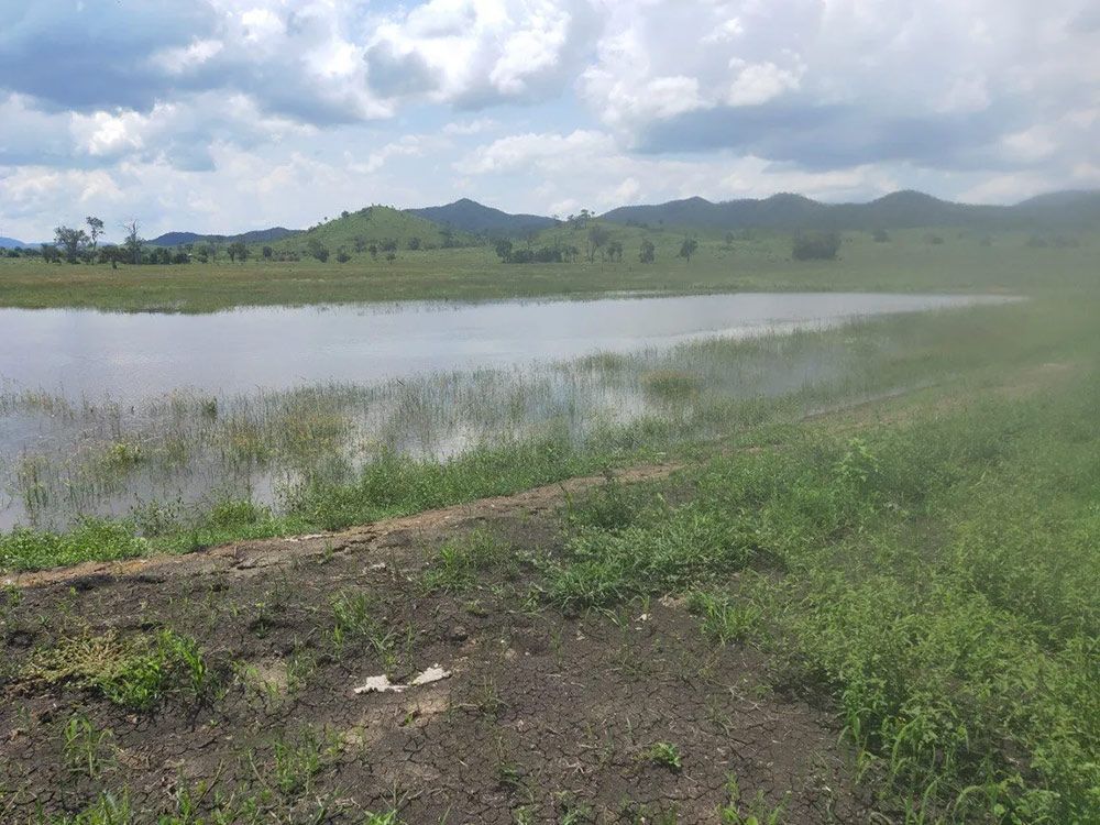Wide View Of A Land With Lake Surrounded By Green Bush — Mike Barlow Earthmoving Pty Ltd in Rockhampton, QLD