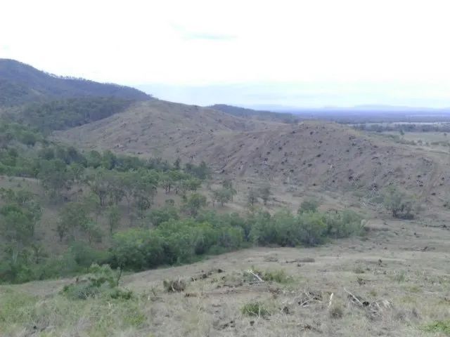 Mountain Clearing Two Yellow Big Excavator In The Dirty Field — Mike Barlow Earthmoving Pty Ltd in Rockhampton, QLD