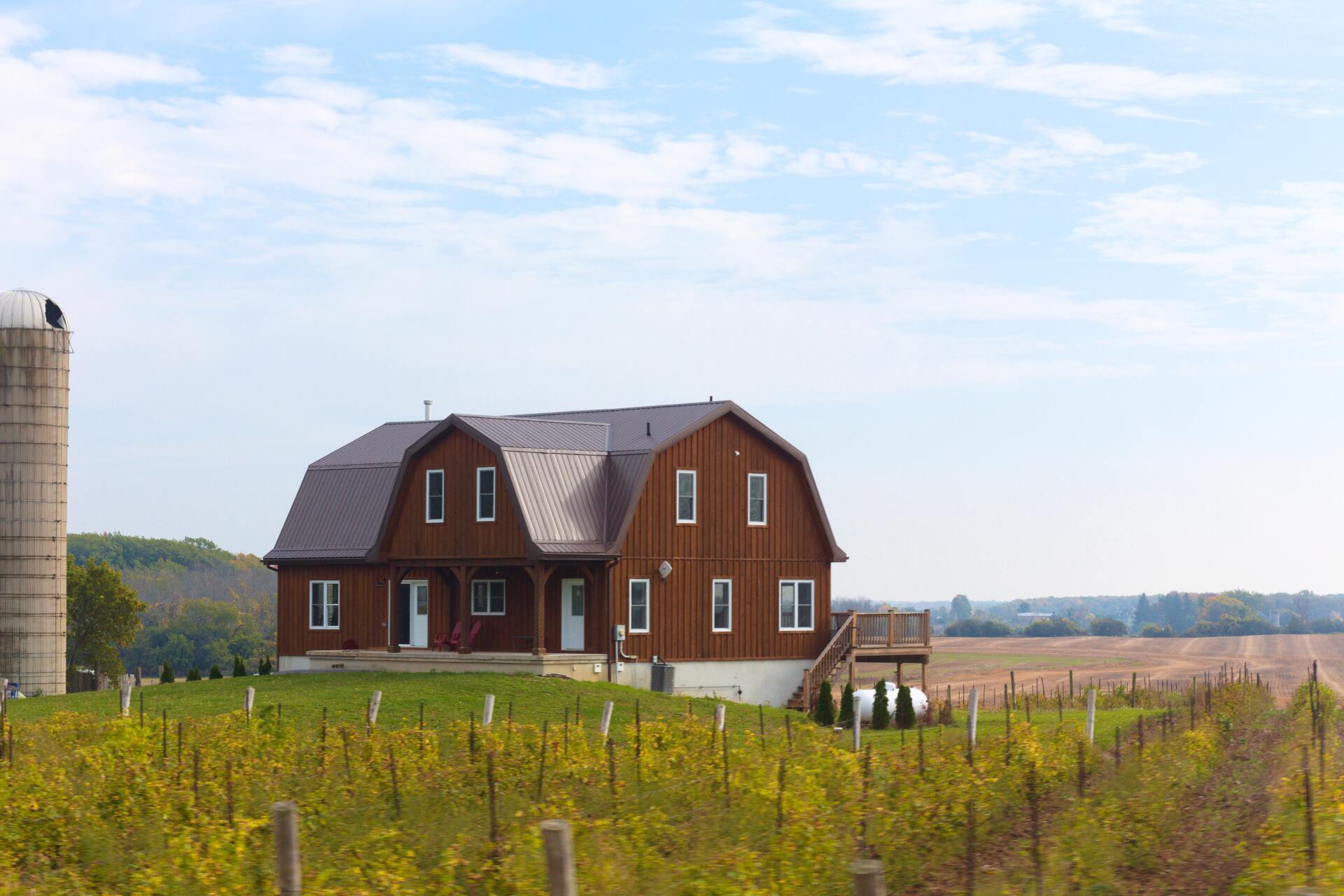 Red barn-style farmhouse by a vineyard under a bright sky