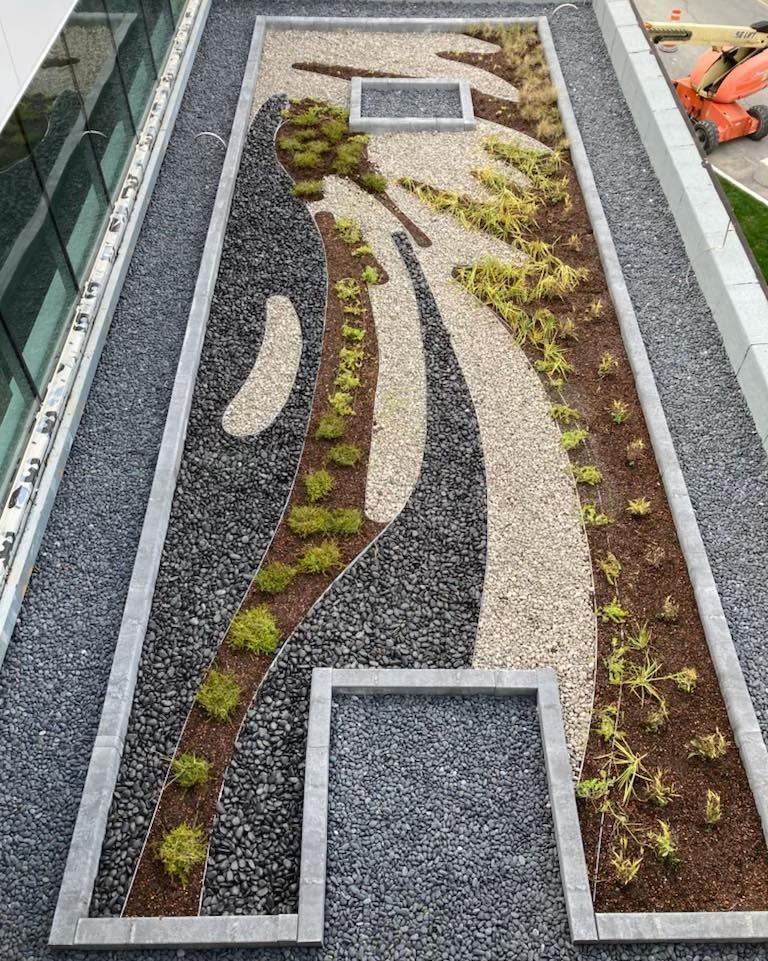Jardin sur le toit avec allées de pierre courbes, bordures de gravier et petites plantes vertes autour des puits de lumière.