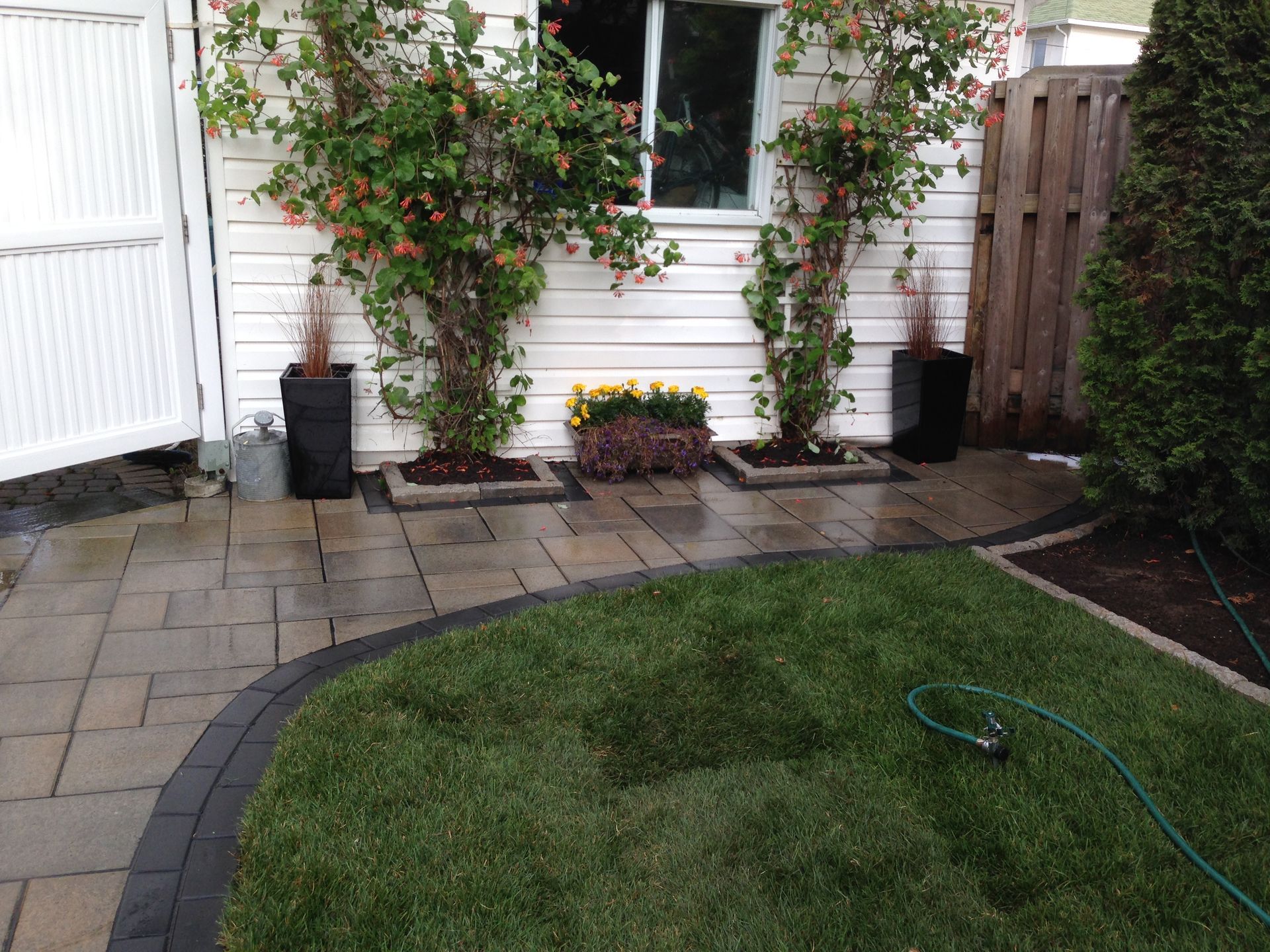 Terrasse arrière avec plantes en pot, bardage blanc, allée de pierres et pelouse verte avec un tuyau d'arrosage