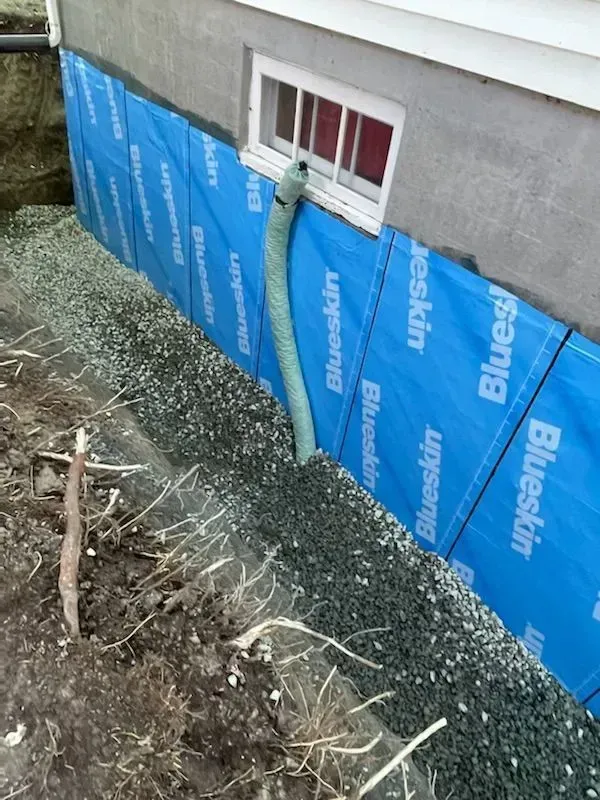 Panneaux d'étanchéité bleus sur un mur de sous-sol avec un tuyau d'évacuation vert sous une fenêtre.